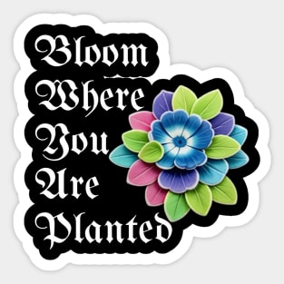 Bloom Where You Are Planted - Inspirational Plant Lover Gift Sticker